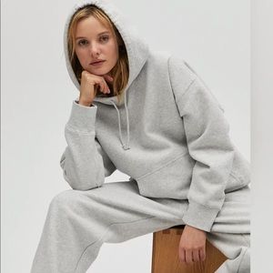 Aritzia Fleece Boyfriend Hoodie